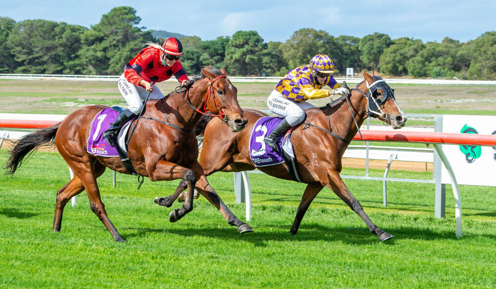 AlbanyRacing's tweet photo. Local trainer Tim Stone had his first win yesterday on his local track with Take Me There in the first race.

Congratulations to Tim and all involved.

📷: @WesternRacepix https://t.co/daJMNODE5C