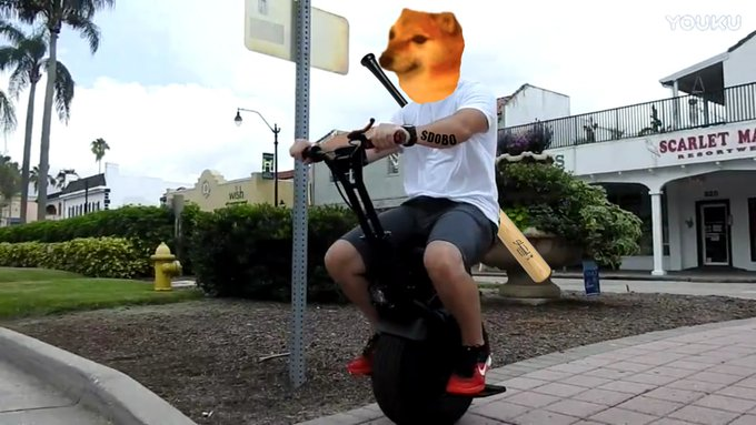 KasiPeniel's tweet photo. Getting the bonkers to the spotlight

#DOBO #dogebonk #memecoin https://t.co/s61BNlrpZU
