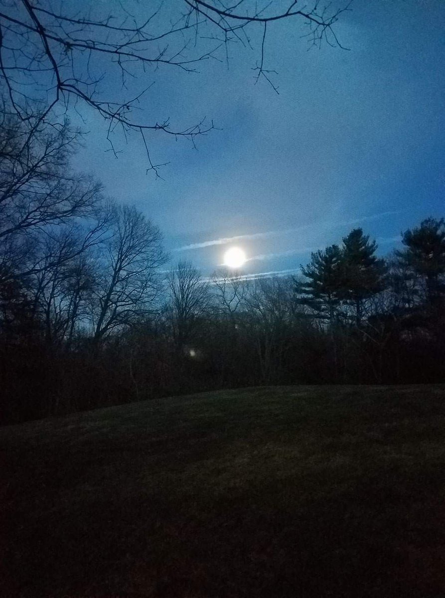 at_walden's tweet photo. "I believe that it is in my power to elevate myself this very hour above the common level of my life."

- Henry Thoreau, from a letter to H.G.O. Blake; April 10, 1853

-Photo by Richard Smith https://t.co/8EVdYAfUSz