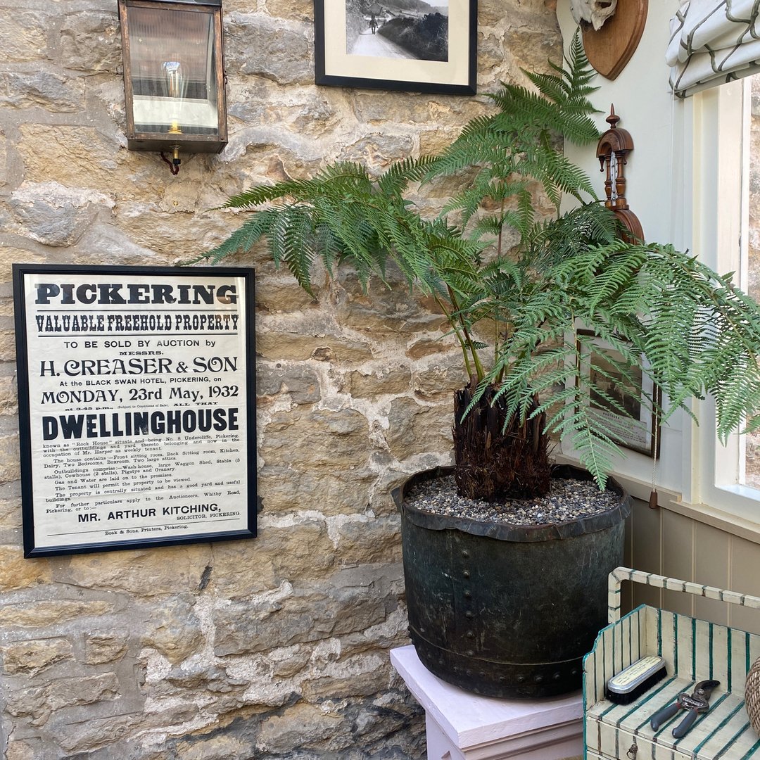 Finally got my very own tree fern.

 #countryhouse #countryhome #countrycottage #cottgelife #yorkshire #welcomehome #antiquedecor #yorkshirelife #countrylife #countryliving #homes #antiquedealersofinstagram #antiquedealer #treefern #newtreefern #newbiegardener #newtogardening #a