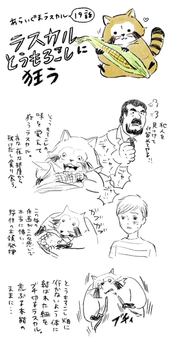 ラスカルで気になった回 