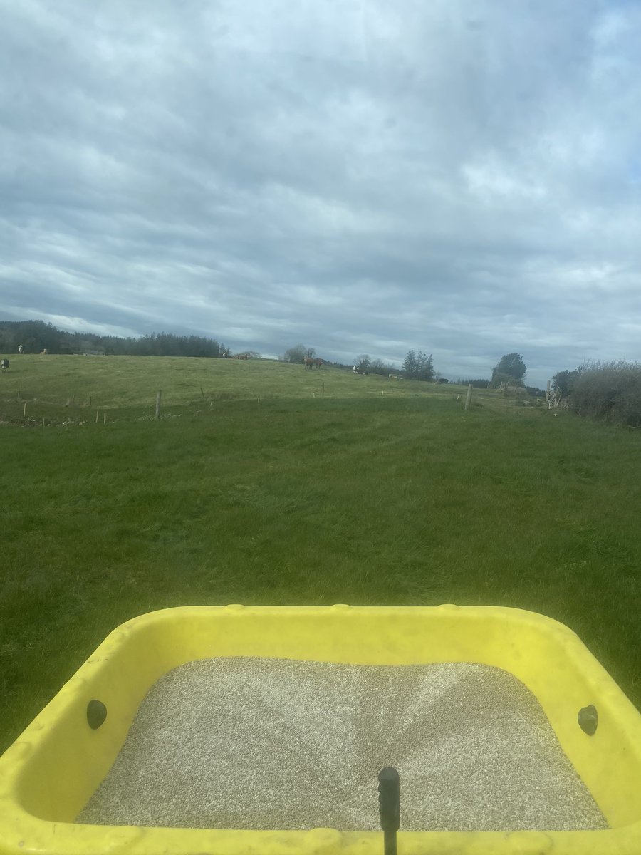 RonanHarrison6's tweet photo. Get it growing 🌱 https://t.co/JOgg3a2Kld