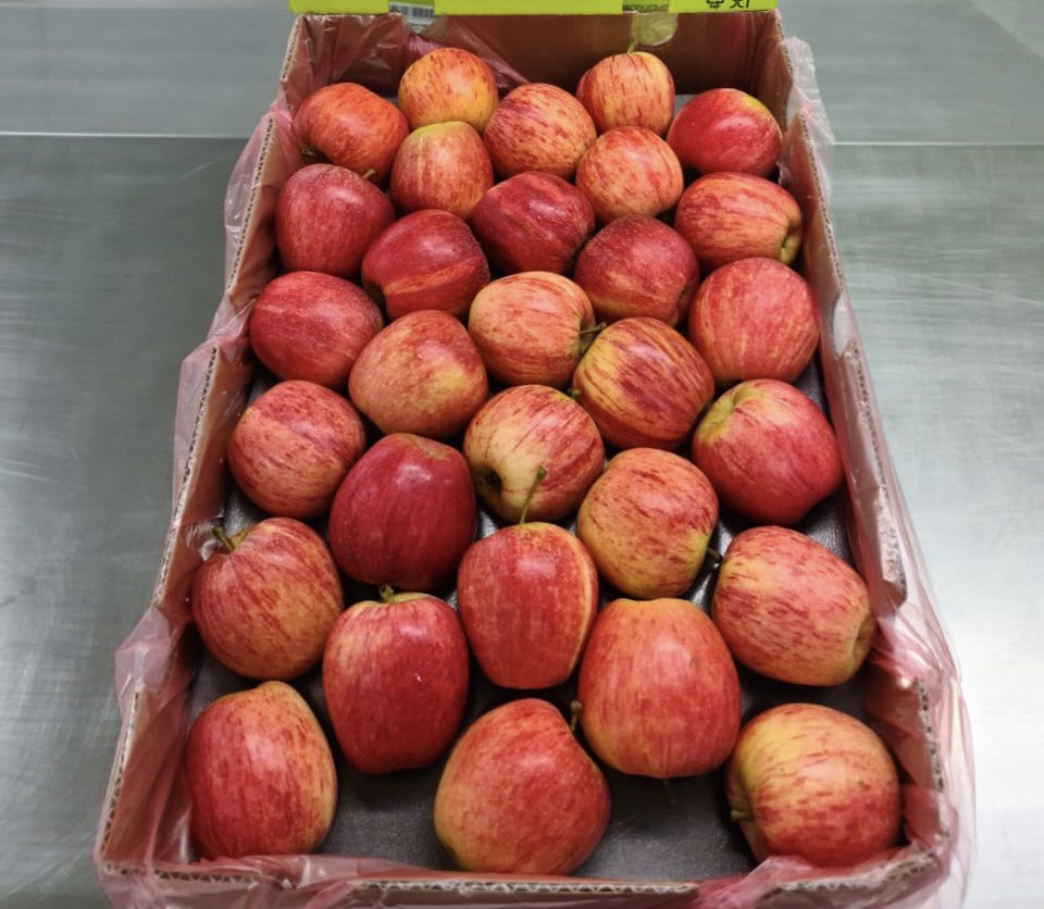 RiypSA's tweet photo. Last week, we shipped a massive 747 680 pieces of fresh produce to 4 different countries! 

Our mission is to get the freshest fruit from farms to mouths, leaving a taste of Africa lingering around the World.

Mission accomplished ✅

info@riyp.co https://t.co/ZY4fjpWwfJ