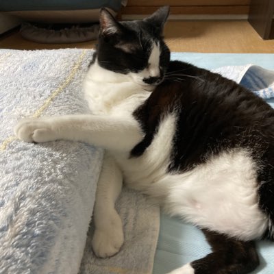 #新しいプロフィール画像