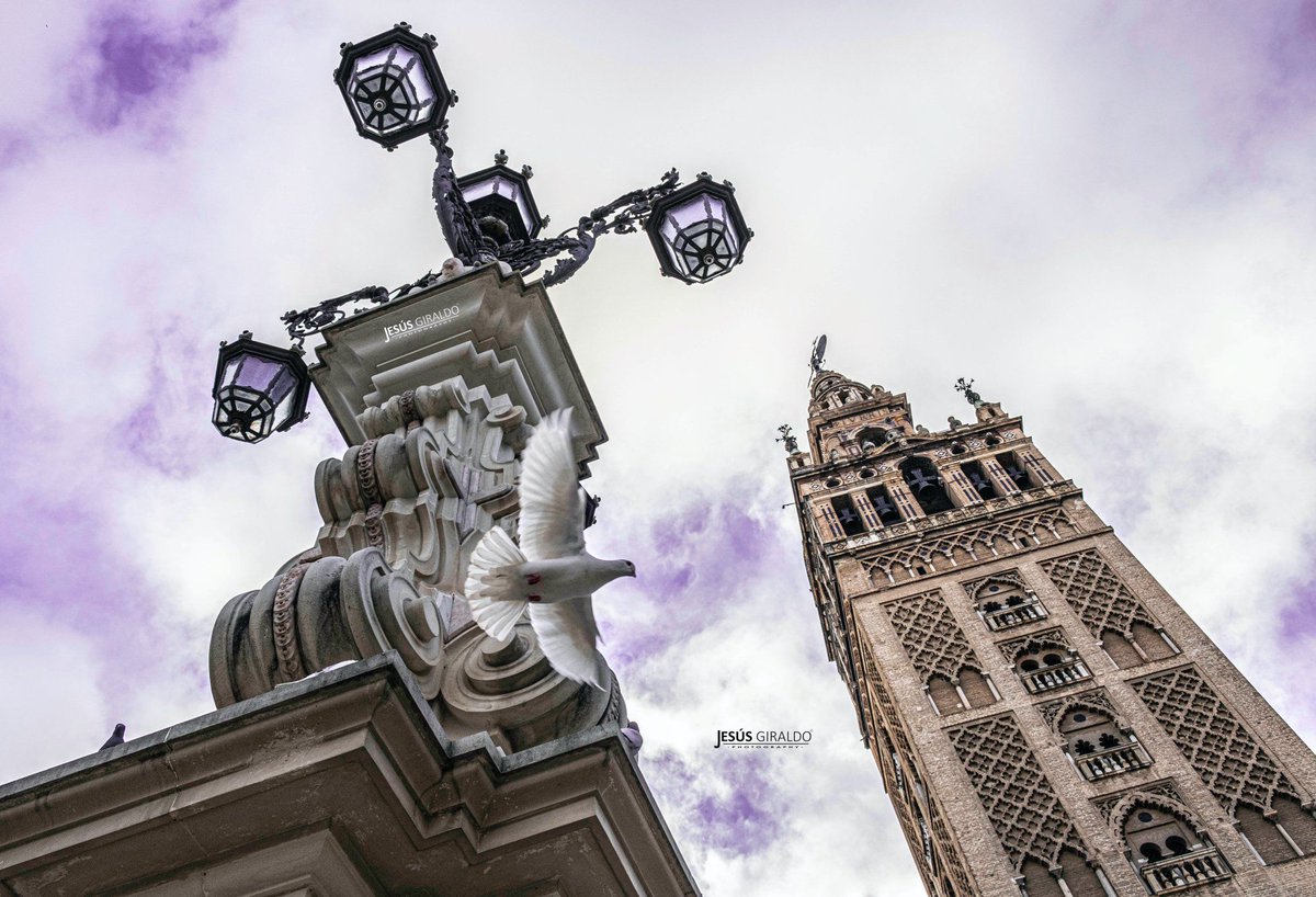 "Lo malo no es que los sevillanos piensen que tienen la ciudad más bonita del mundo… Lo peor es que pueden que tengan hasta razón".
Antonio Gala.
📸 <a href="/_JesusGiraldo_/">Jesús Giraldo</a>