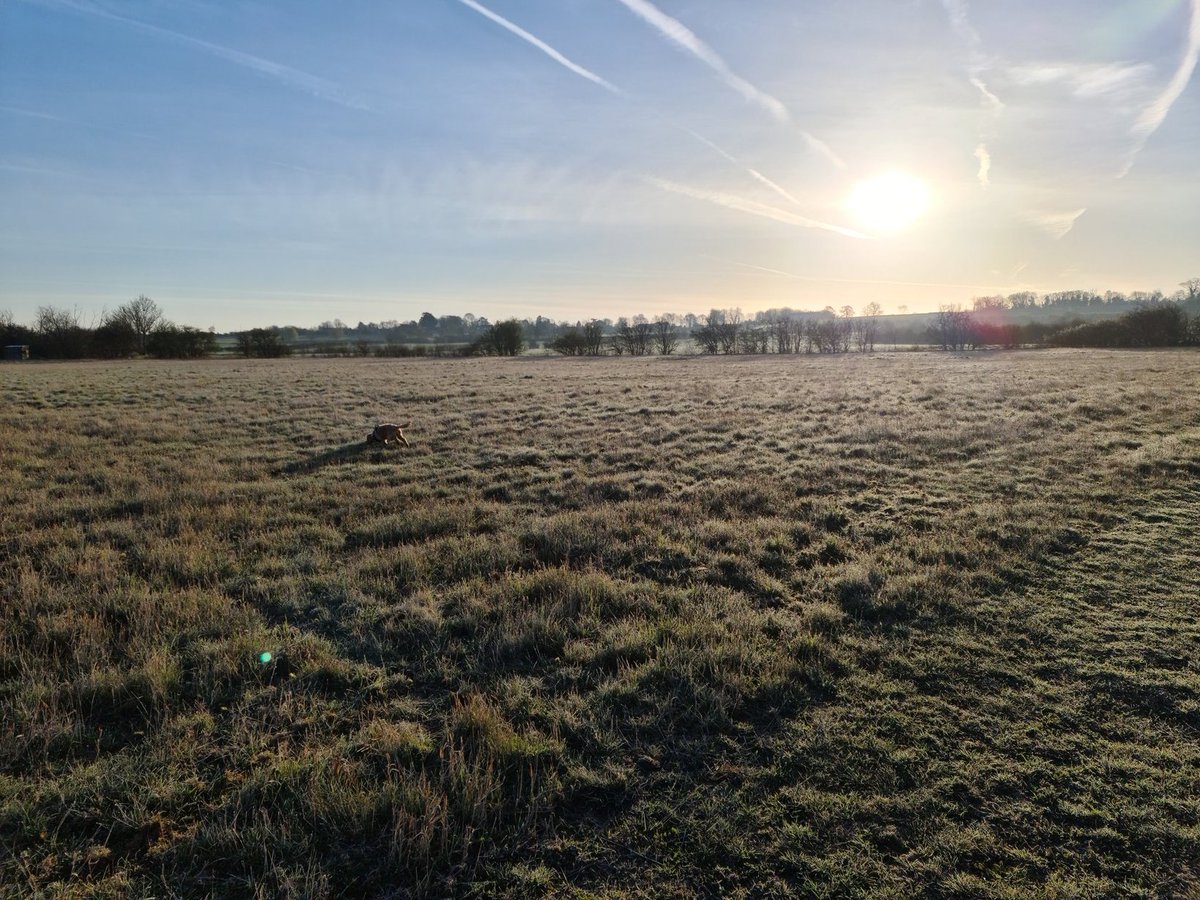 Hospitality Digital Services tweet media