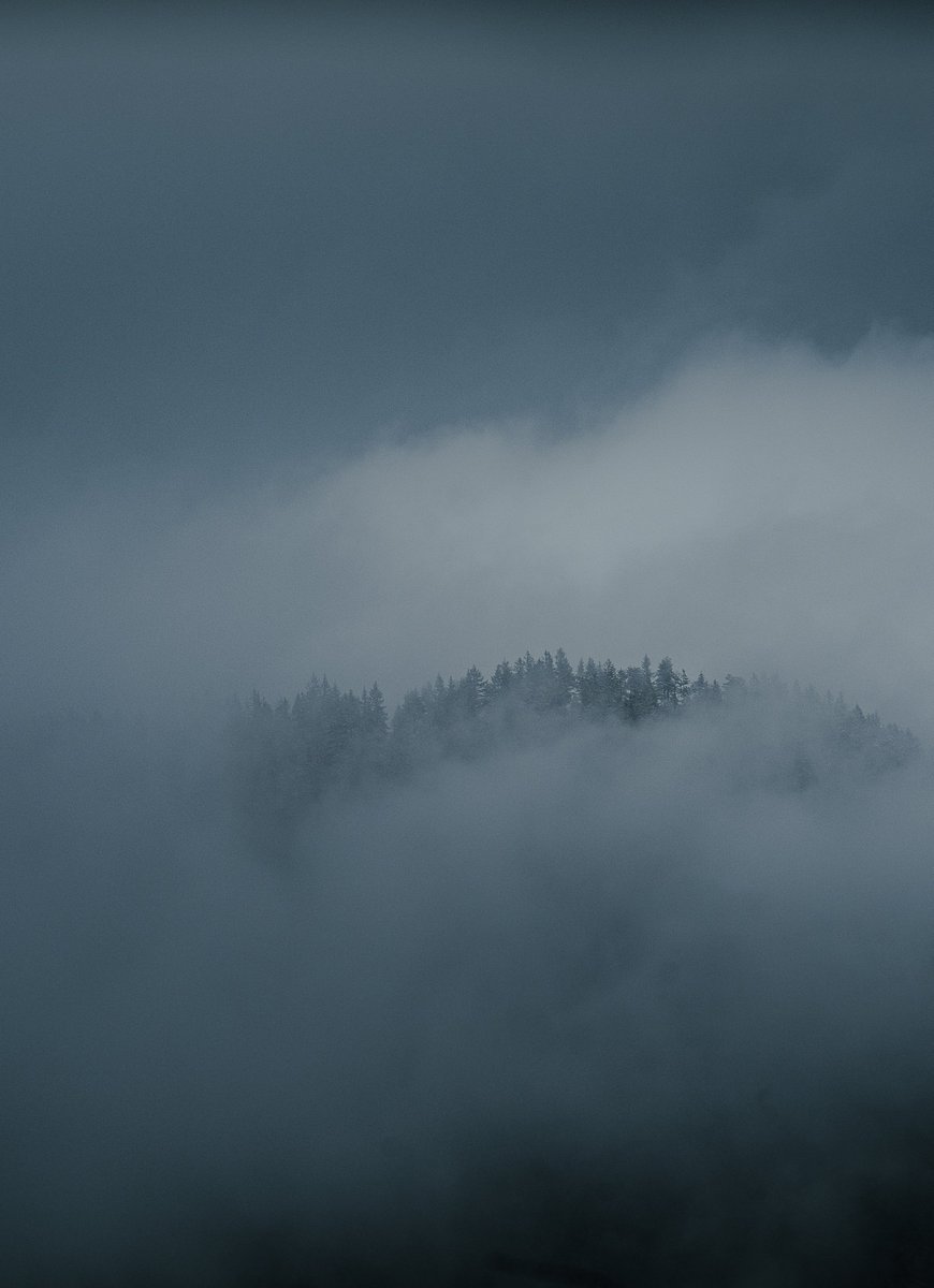 OJ Perry Photography tweet media