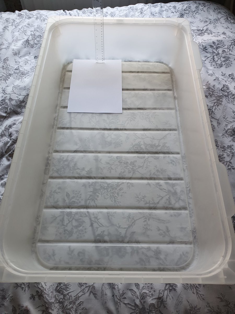 katie_jr's tweet image. Pond Twitter.
I want to put a water feature in my wild garden. I have a large, old plastic storage box which I'm thinking about using (see pic). Is this going to be suitable? This is a salvage material only, no spend project.

#ReduceReuseRecycle 
#BuyLessStuff