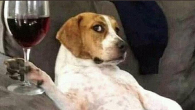 Me looking at the pastor capping about David killing Goliath with a stone and sling...like🙄🙄🙄 https://t<a href="/tag/celebcity"class="tags"><span>#celebcity</span></a>