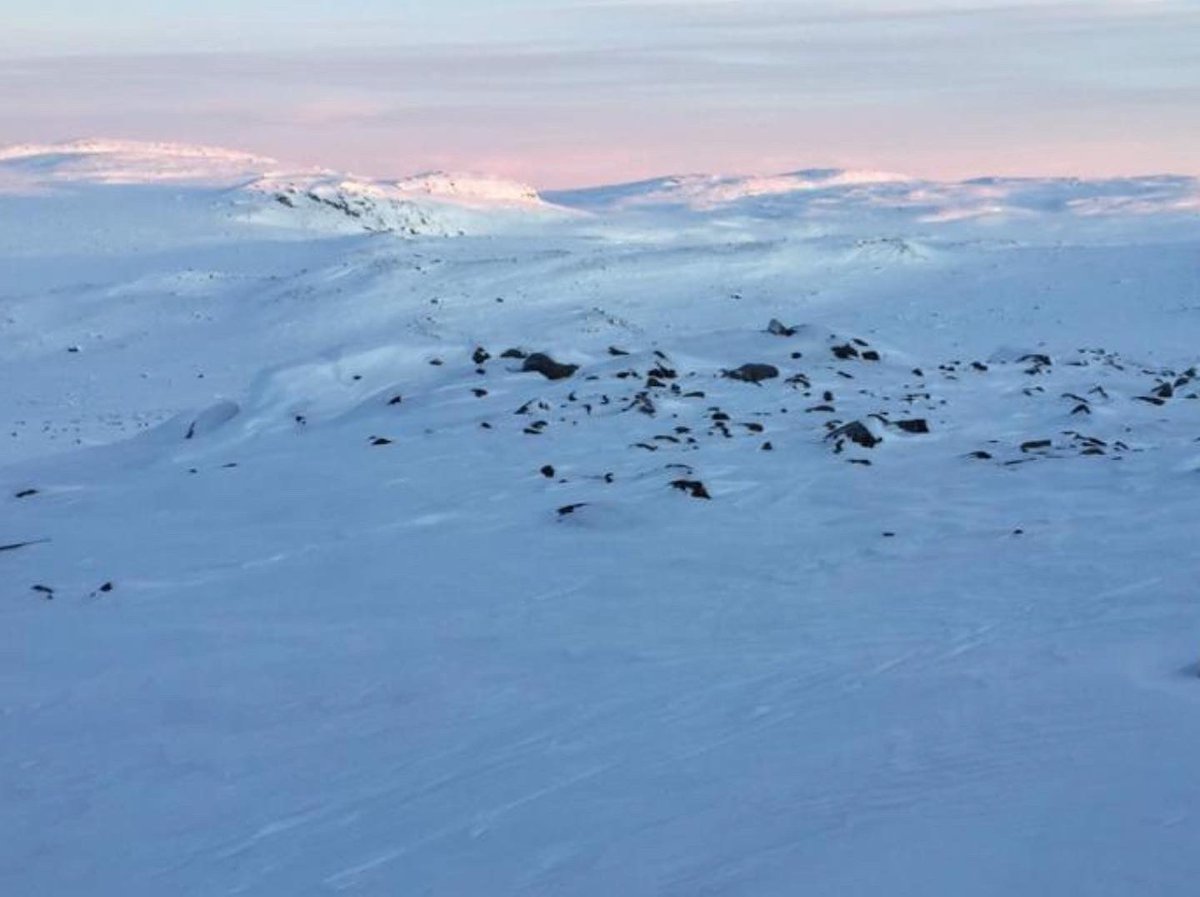 The Mad Explorers tweet media