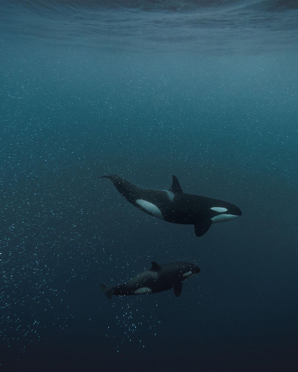 GM from above and below!