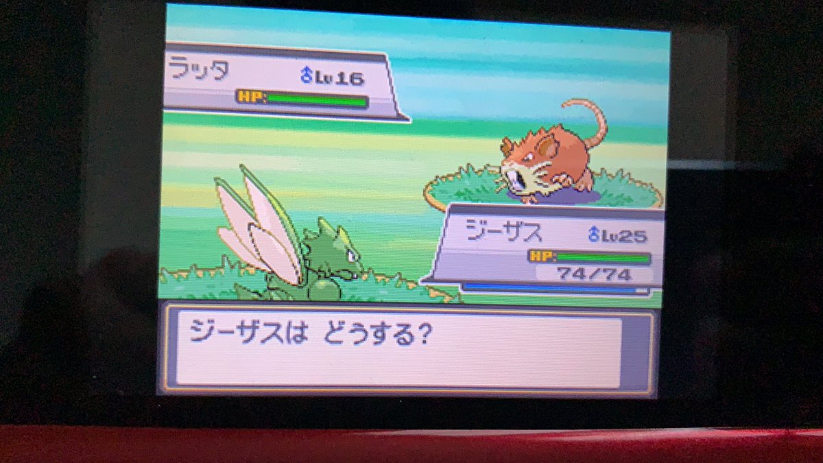 ポケモンgo ラッタの色違い 入手方法と実装状況 攻略大百科