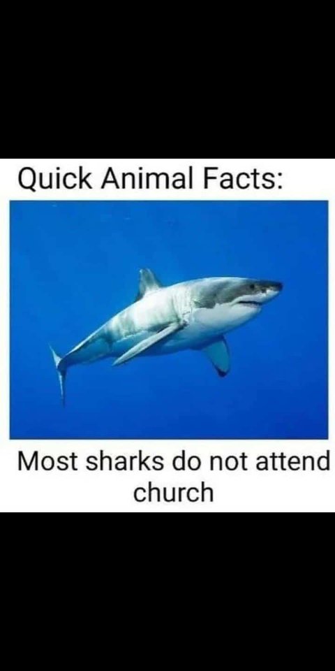 ODELL܁ᅠᅠᅠᅠᅠᅠᅠᅠᅠᅠᅠᅠᅠᅠᅠᅠᅠᅠᅠᅠᅠᅠᅠᅠᅠᅠᅠᅠᅠᅠᅠᅠᅠᅠᅠᅠᅠᅠᅠᅠᅠᅠᅠᅠ (@theeplaymaster) on Twitter photo 