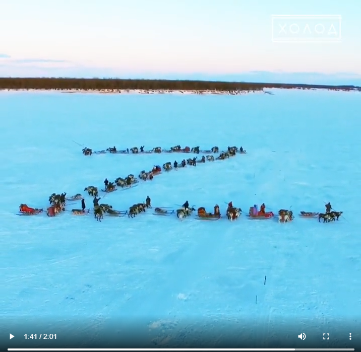 національна російська Z із оленів. Вони мало що з пантів роблять ванни своїм вождям, ще й ось таке виставляють. 
ruzzia.info/archives/418
