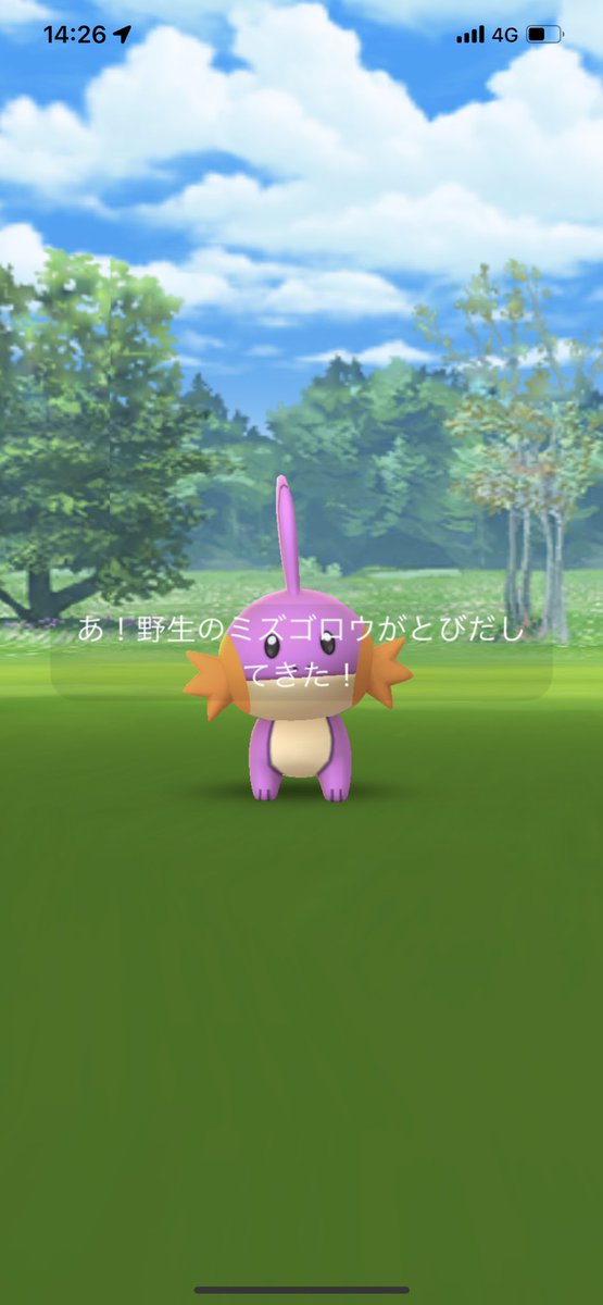 picosan160's tweet photo. コミュデイお疲れ様でした！！
危うく逃すところでしたが���事捕まえることが出来ましたー！
まさか卵ゴンベと野生ミズゴロウの100が出てくれるとは！！
次の100個体が記念すべき100体目です！リオル来るといいな笑
 #ポケモンGO  #コミュニティデイ https://t.co/XUvIqkvPUJ