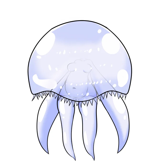 くらげ 