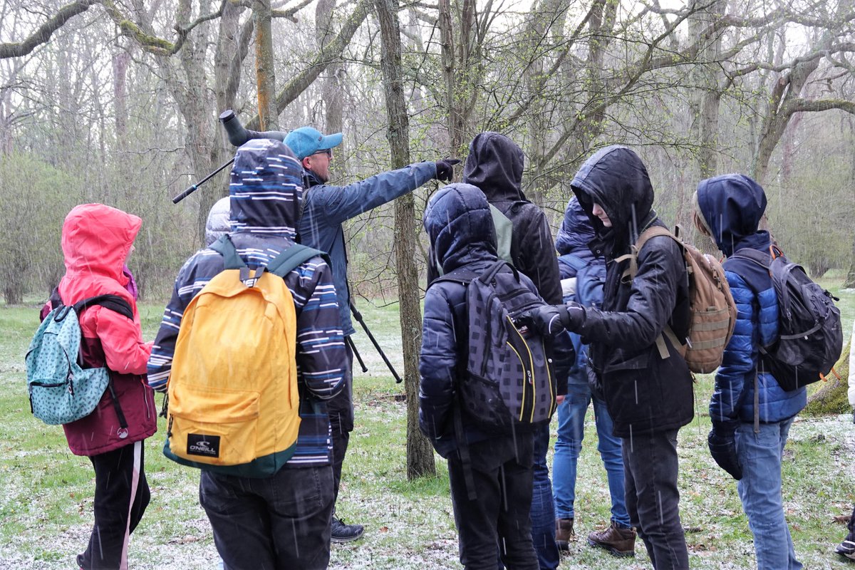NatuurcentrumKatwijk tweet media