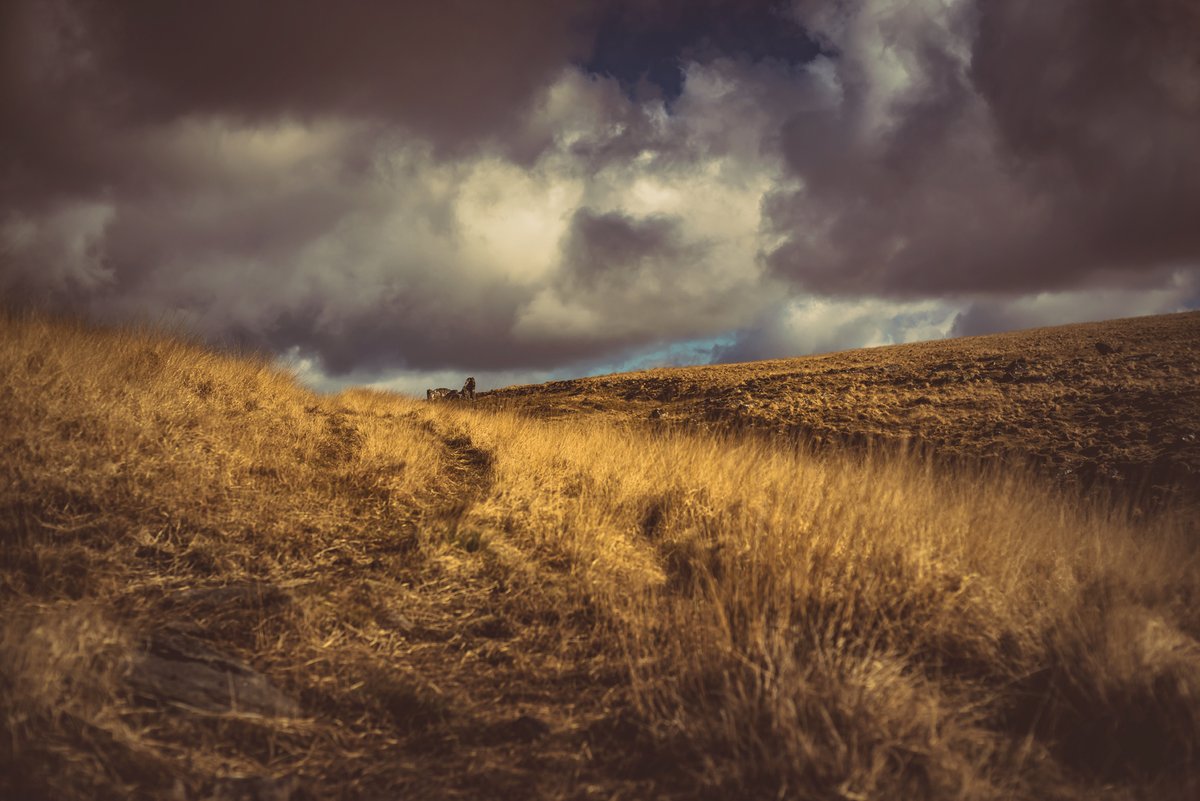 GlavindStrachan's tweet photo. #BleakHouse on #Dartmoor πThe mangers house for the #RattleBrook #PeatWorks #DartmoorPhotographer https://t.co/h8YJjj39Bh