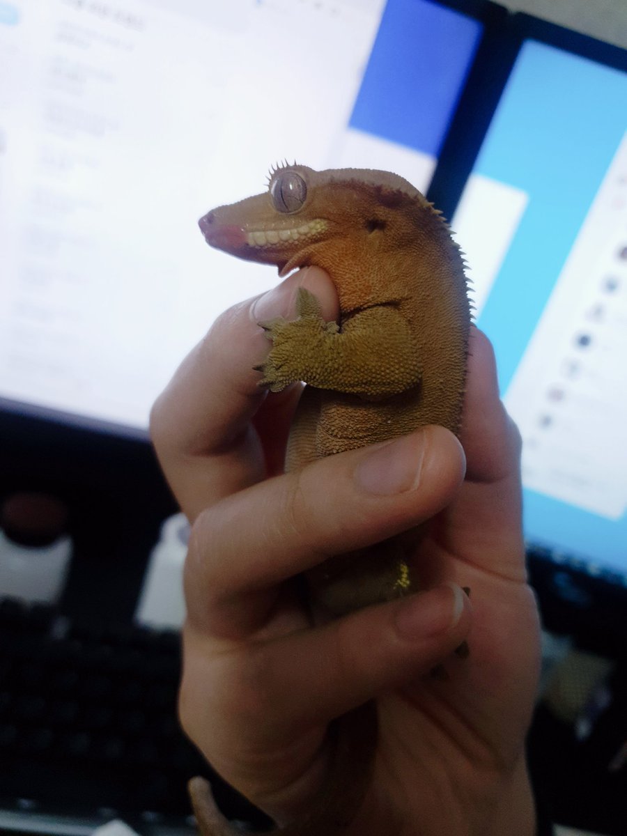 uta_nkimo's tweet photo. 하이고 ㅠㅠㅠ요새 내 한숨머신 ㅠㅠㅠㅠ https://t.co/mz6N1wVF80