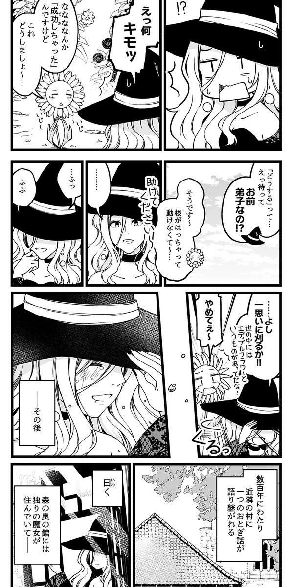 長命の魔女と、短命の弟子の話。 