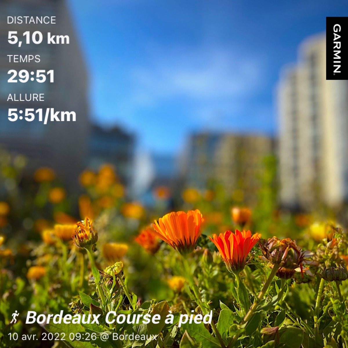 mpicco33's tweet photo. Et ne laissez pas quelqu’un choisir à votre place, Votez!!!
#streetrunners #running #meriadeck #Hoteldeville #bordeaux #france 🇫🇷 https://t.co/K6RlGJ11DU