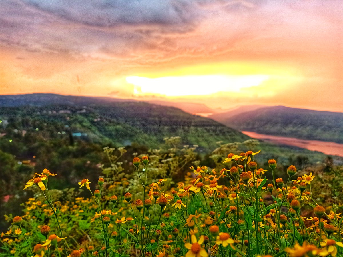 RavineHotel's tweet photo. Tableland in all its glory.. beautiful in the Monsoons and during sunset ♥️ ♥️ https://t.co/3T5ShEbu6u
