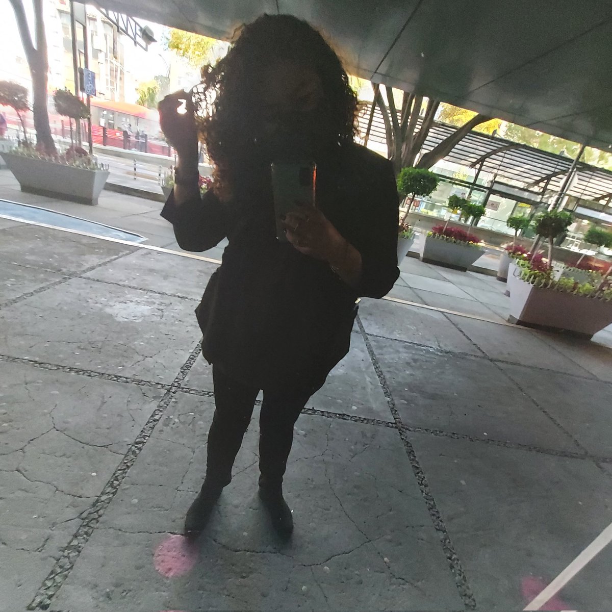 Stephanie Carrasco tweet media