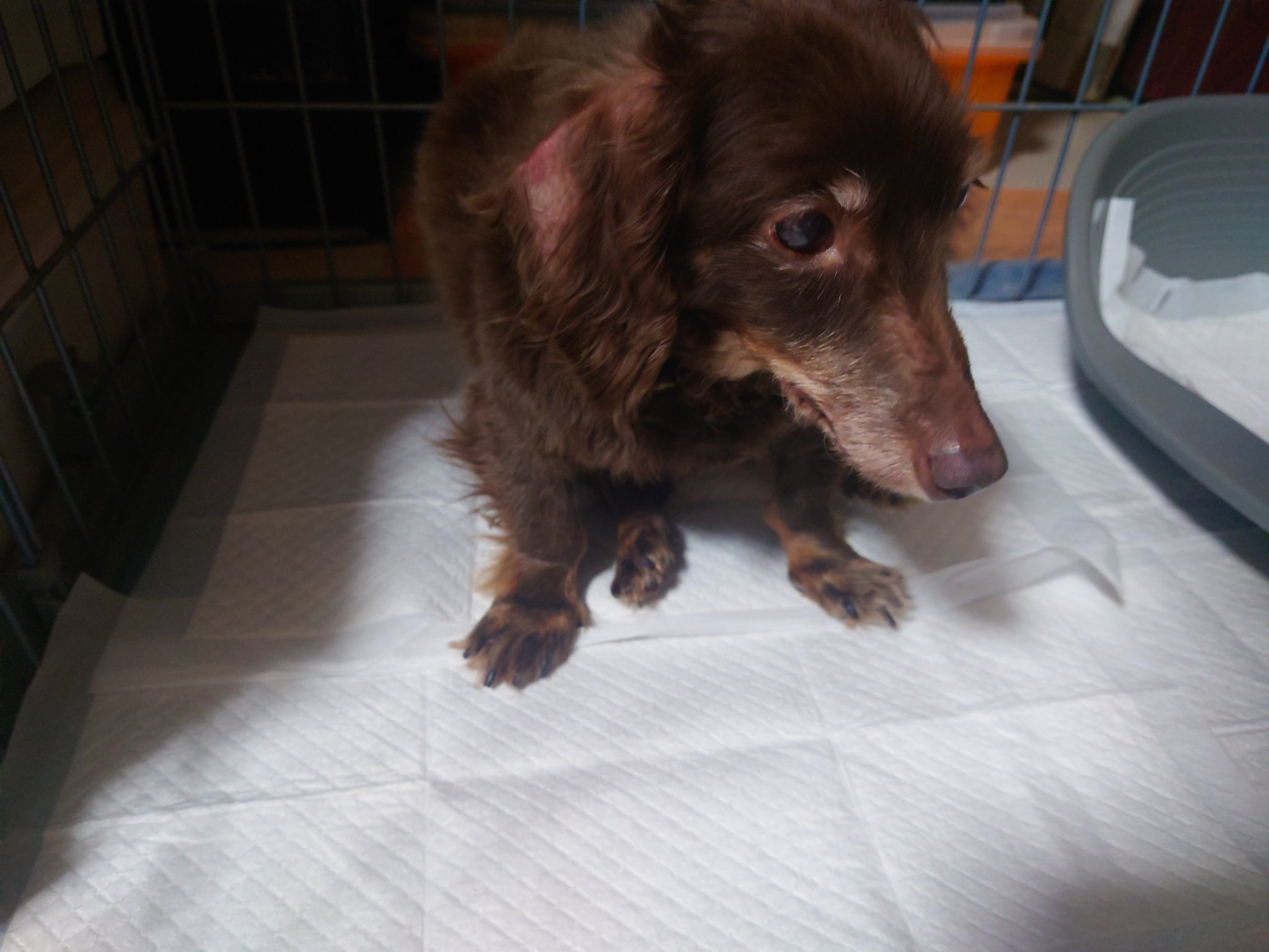 Rabi Rabixxxxx Twitter