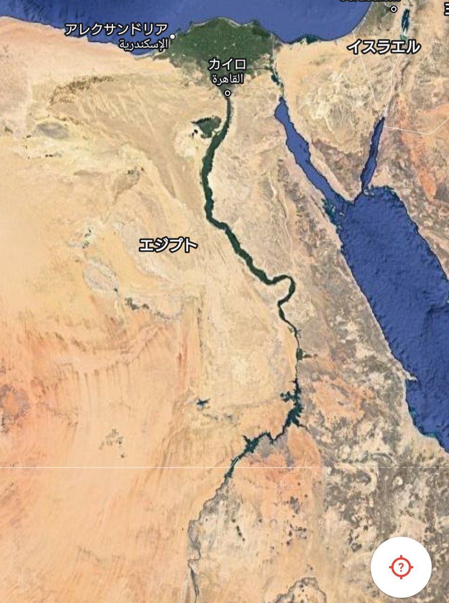 兎です。(FAKE) tweet media