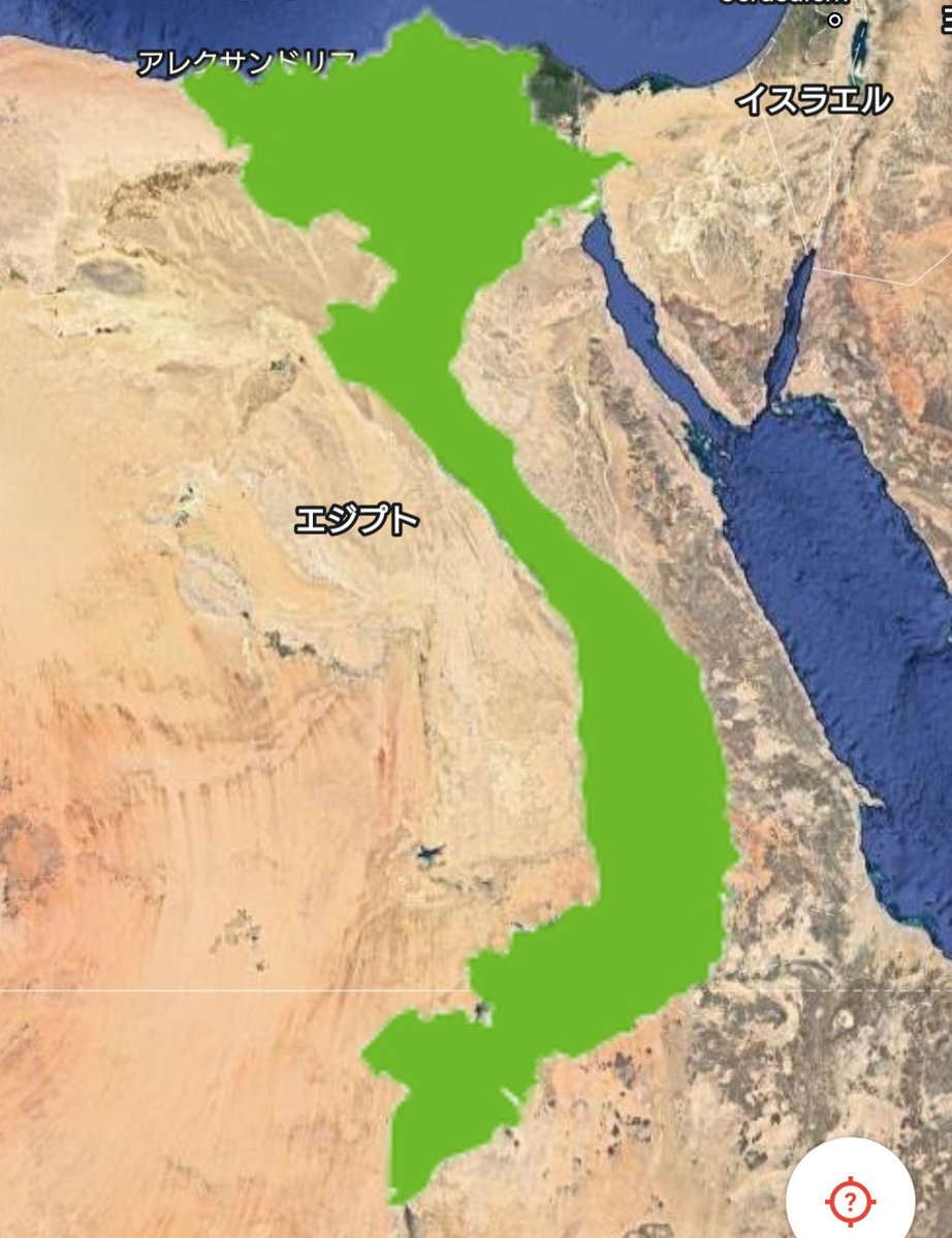 兎です。(FAKE) tweet media