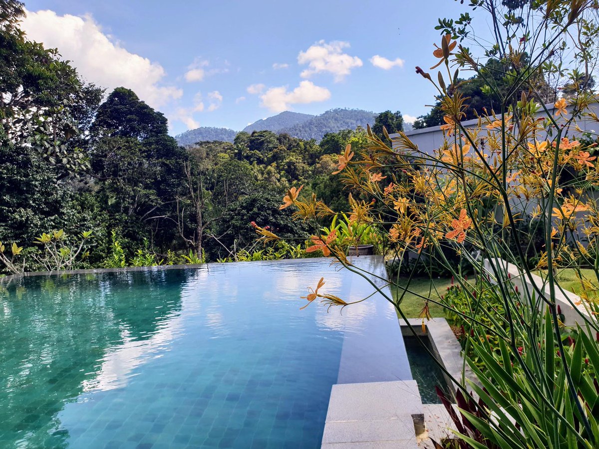 Embun Luxury Villas, it’s a stay for total relaxation 
check it out!!!
joymalaysia.com/embun-luxury-v…
#hotels #hotel #malaysia #travel #Traveller #traveling #Trending #malaysiahotel #kualalumpur