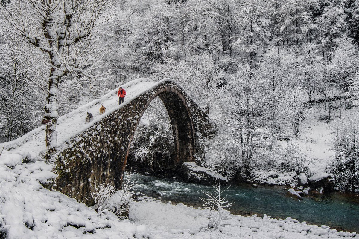 Volkankaragule's tweet photo. Gm Gm #NFT Fam.
My new photo arched bridge is on sale.
Arched bridges in the Black Sea are famous.
Since there are many streams in the Black Sea, arched bridges are used to cross the street.
https://t.co/OeuyMmZTsS
#nftcollector #NFTCommunity https://t.co/MotsPAczcO