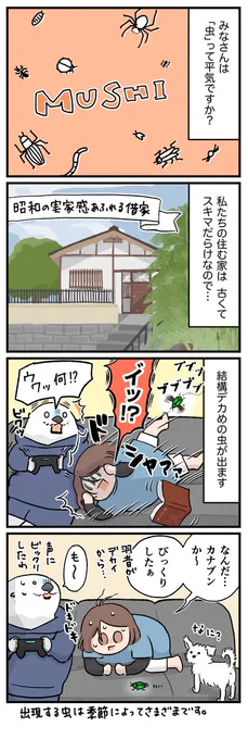 みんなは虫って平気?🪲🐛🐜
私は触れんけどおハシでつまめばいける…!! 😂✨
今回は、おうちの中に虫たちが出た時のお話を描きました。

※虫がたくさん出てきますので苦手な方はご注意を〜!!🙏💦 (1/2) 