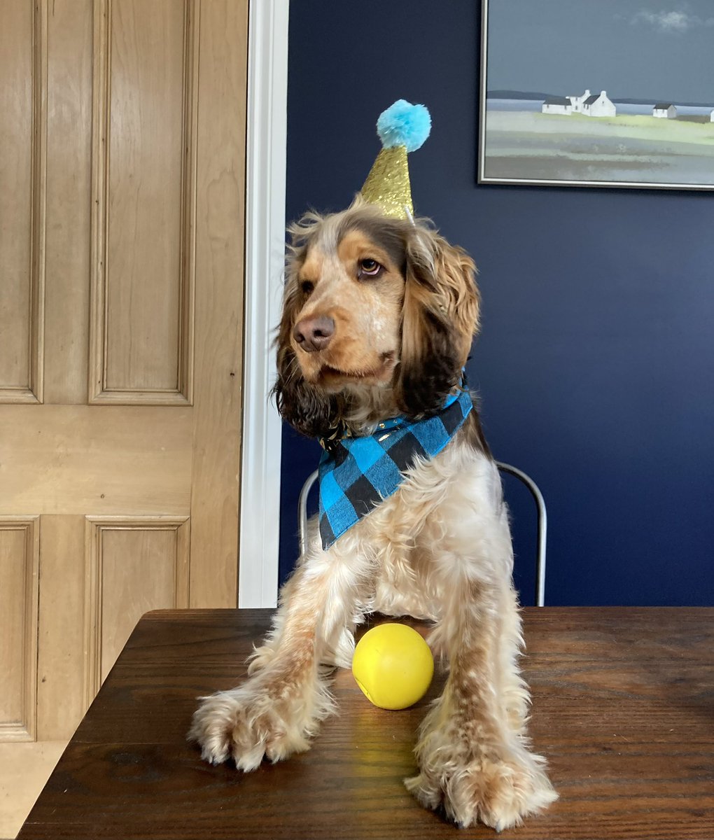 Emma Dodds tweet media