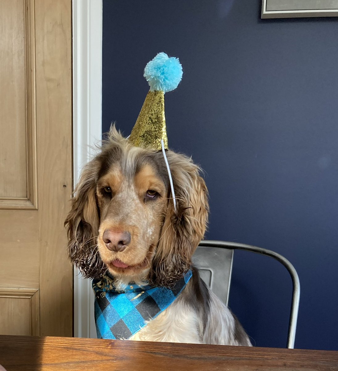 Emma Dodds tweet media