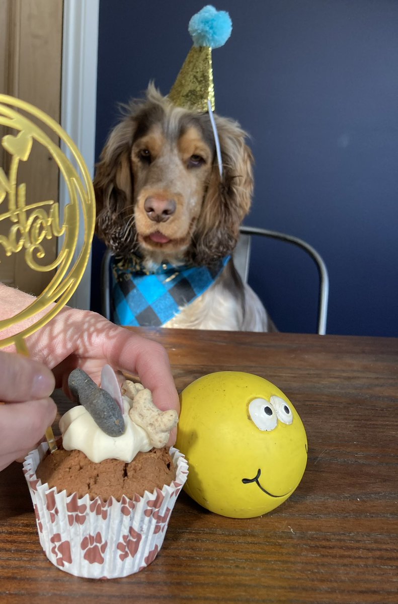 Emma Dodds tweet media