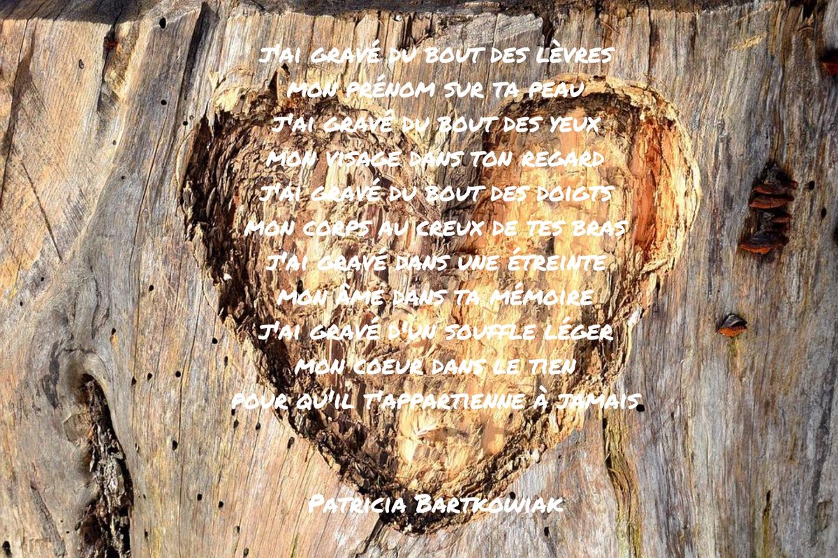 isias105's tweet photo. @BulsaMarie @page_alexandre @Cristal_gemme @genevie07143349 @MaritzacocoJ @LilGirlBlueugz #poesie #amour #instantpoetique https://t.co/ybjYq4C7h0