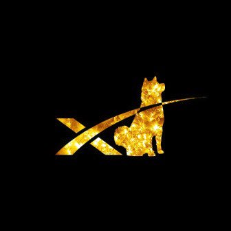 pythadoge's tweet photo. 🤗 $DOGE to mars! https://t.co/CTEbmLrTES