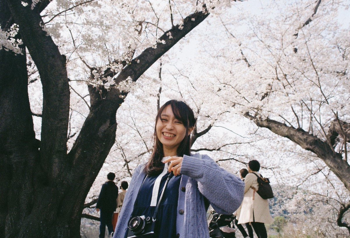 ai_myme's tweet photo. ちょうど満開で嬉しくていっぱい撮った🌸

#film #canonal1 #さくら #桜 https://t.co/sSyklbQ8Li