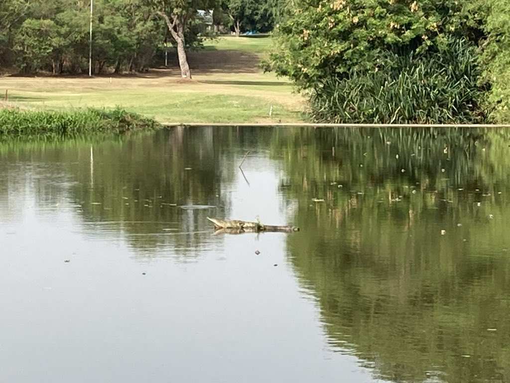 SeanMelbourne2's tweet photo. Beautiful day for #golf and the recent rains have made the course super lush. #birdies and #eagles in abundance. But not alas the golfing kind! #wildlife #flametrees #nature #crocs #Abuja #Nigeria @WriterHannahBT @ANI_Foundation π¦
π± https://t.co/jsA1qTBZZw