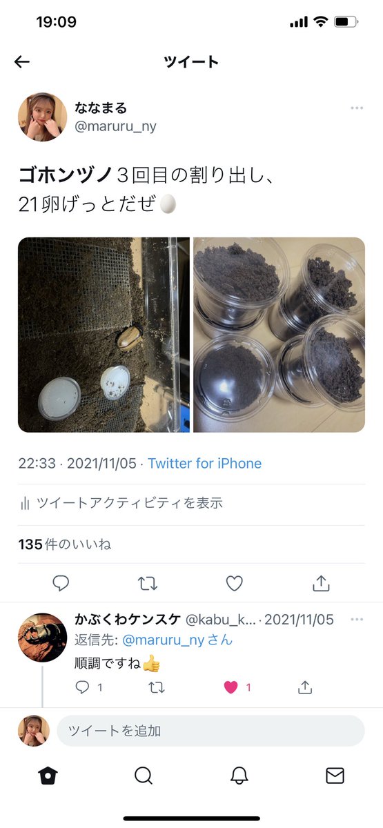 maruru_ny's tweet photo. ⚠️拡散希望⚠️

このサイトで名前、写真、文章全部悪用されてるのをさっき教えてもらい知りました。いつからかは分からないですが、私ではないので皆さん買わないように気をつけて下さい😫
うちの幼虫は3令になってるので、間違いなく違う幼虫が送られてくるかと思います😫
https://t.co/U4ljdlGcx5 https://t.co/uW5vUhLsMC