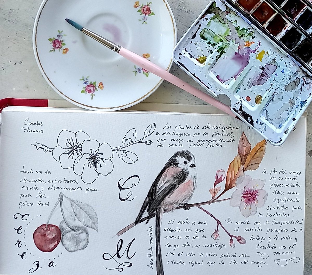 Primavera+dibujo= FELICIDAD
#watercolourpainting #botanicaldrawing