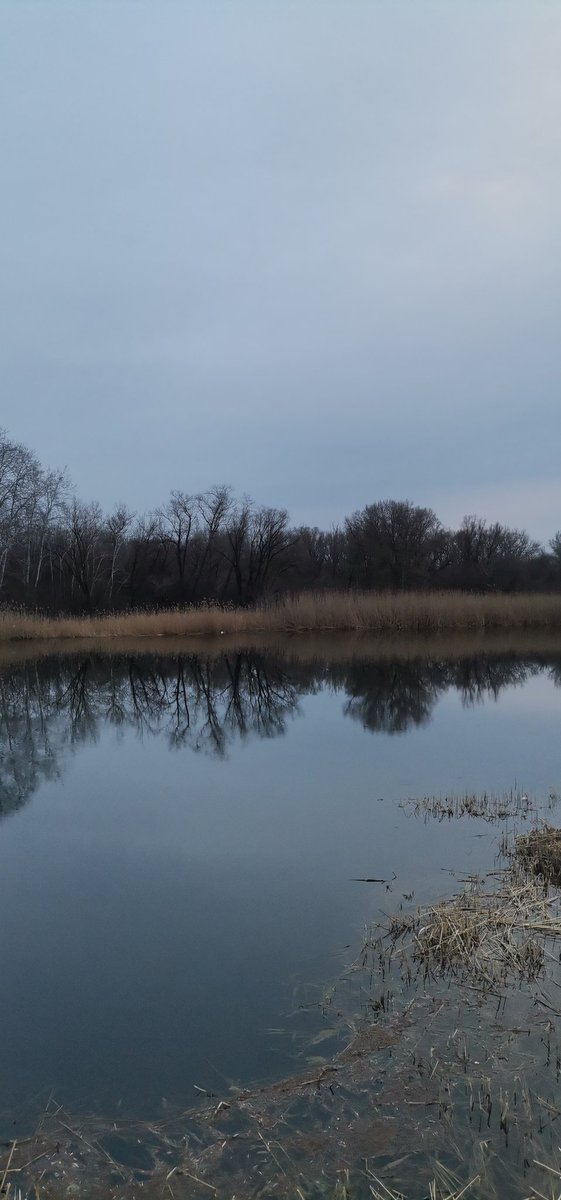 Не много природы вам в ленту