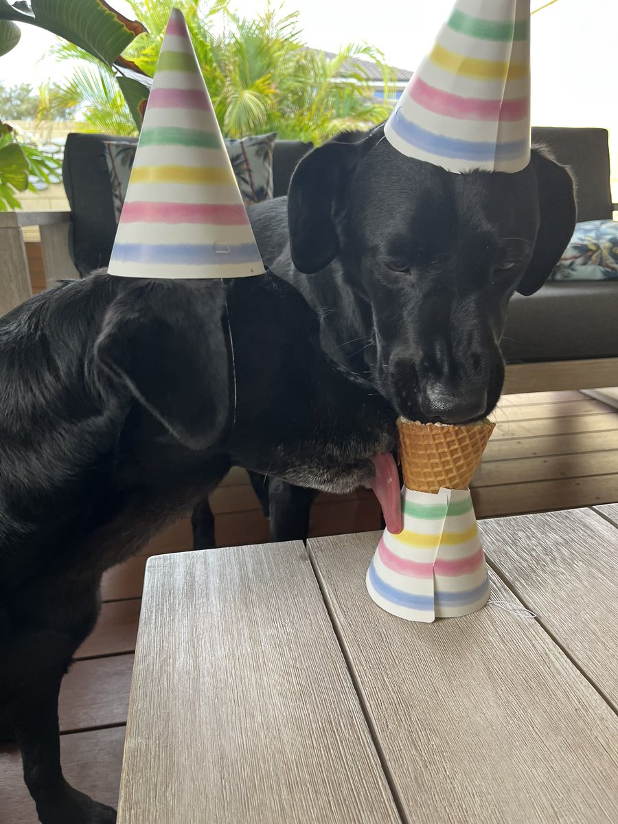 WAPoliceCanine tweet media