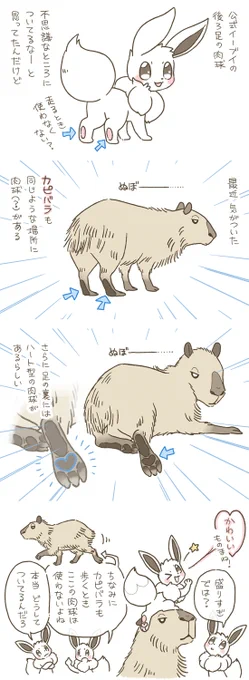 現実世界で似たような動物いないかなー…と実はずっと探してました。しかし本当になんでここに肉球あるの?? #1週1ブイ 