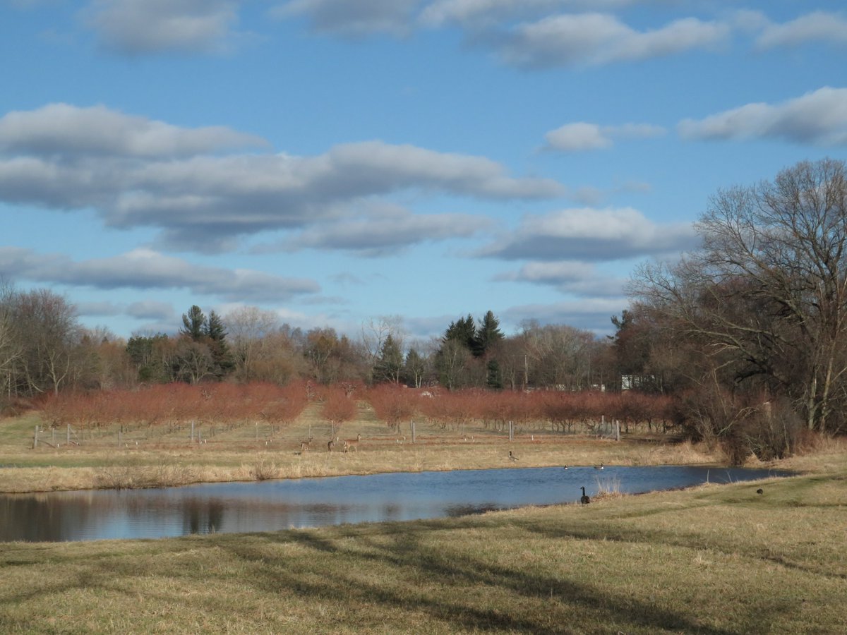 PLKlein_Author's tweet photo. "Go into the world and do well. But more importantly, go into the world and do good." ~ #MinorMyersJr #ThinkBIGSundayWithMarsha #SundayMotivation #ThinkingOutLoud #QuickQuotes #SundayThoughts #GoIntoTheWorld #DoWell #DoGood https://t.co/NMaQQGzFfW