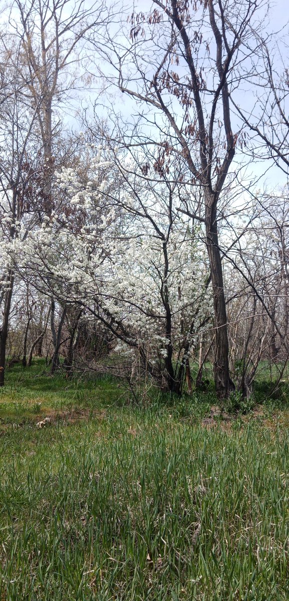 Gm 🌄 I came to the park to paint right now