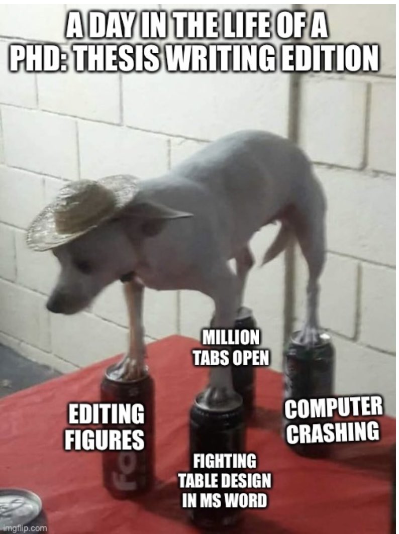 And here’s part 2 😆: