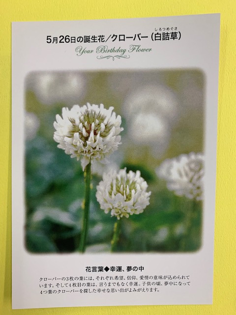紀伊國屋書店 梅田本店 誕生花ポストカード 5 26の 誕生花 は クローバー 白詰草 クローバーの３枚の葉には それぞれ希望 信仰 愛情の意味が込められています そして４枚目の葉は 言うまでもなく幸運 花言葉 は 幸運 夢の中 只今
