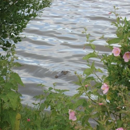 littleskyofme's tweet image. [UP!] #17thspring 🐣🌳𝘊𝘩𝘢𝘱𝘵𝘦𝘳 𝟩
bit.ly/37yrN78

⸻

วันนี้เป็นวันที่ม่านมีเพื่อน ได้ทำอะไรแปลกใหม่กับทุกคนเป็นครั้งแรก

ม่านไม่เคยรู้สึกดีใจขนาดนี้มาก่อนเลย

คุณยายครับ วันนี้ม่านได้จับเป็ดกับเพื่อนๆ ด้วยล่ะ! เห็นไหม!

⸻

✿ แวะมาอัพน้องม่านแล้วคับ!